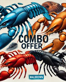 Cray Combo Offer(1 pair×3)