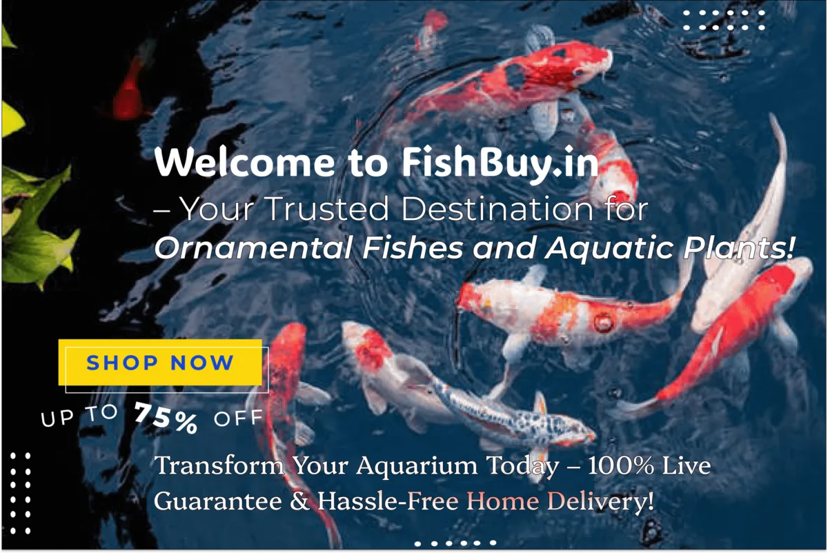 Slide_16_9_-_2-transformed