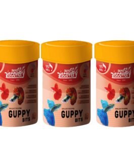 Taiyo Pluss Discovery® Guppy Bits – 25 g (3 Pack)