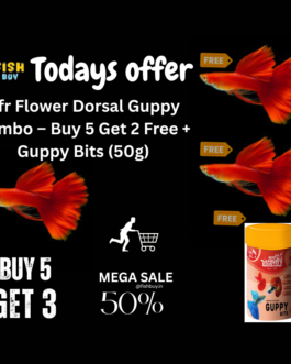 Afr Flower Dorsal Guppy Combo – Buy 5 Get 2 Free + Guppy Bits (50g)