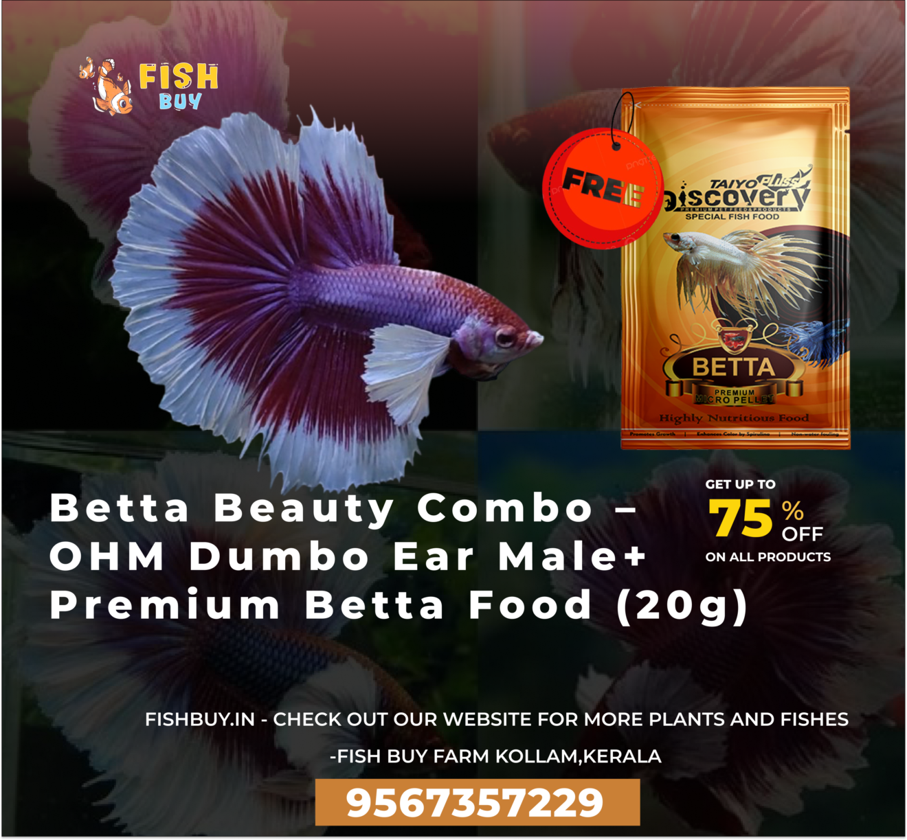 Betta Beauty Combo – OHM Dumbo Ear Male Premium Betta Food (20g